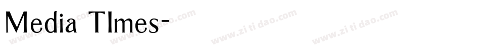 Media TImes字体转换